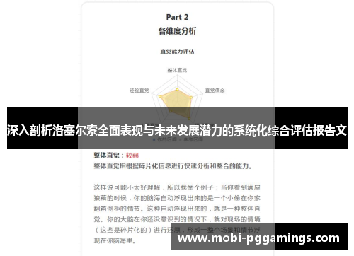深入剖析洛塞尔索全面表现与未来发展潜力的系统化综合评估报告文